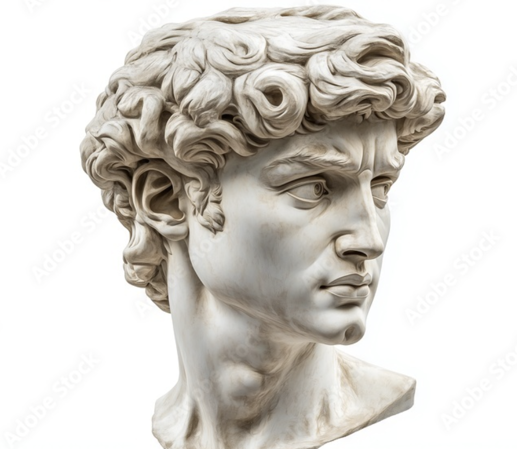 David Bust